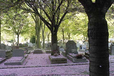 Cimetière à Azille