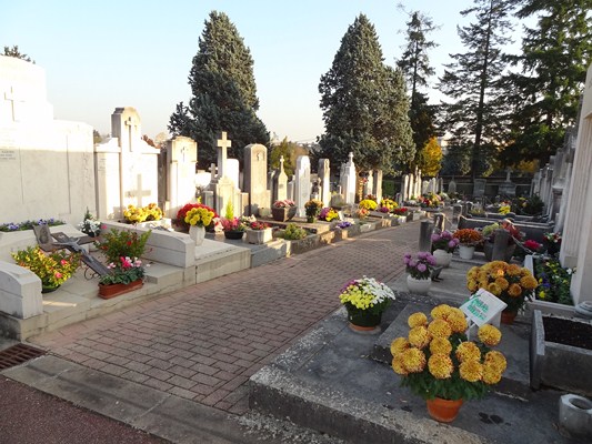 Concession Cimetière d'Alissas