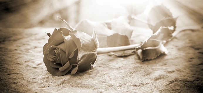 Enterrement Cimetière dans Capbreton