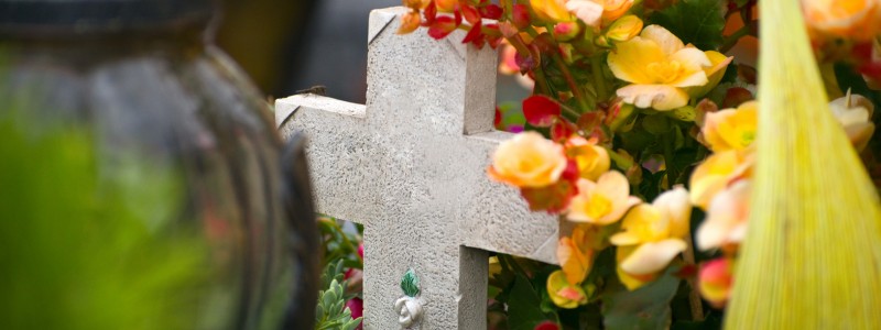 Fleurs Cimetière sur Cazes-Mondenard